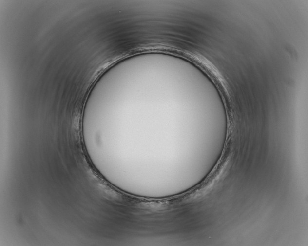 X0000112870937200908211027