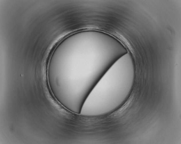 X0000112870939200908211027