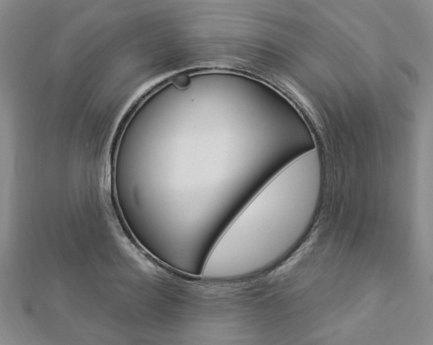 X0000112870940200908211027
