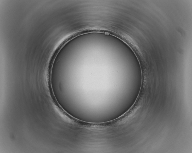 X0000112870942200908211027