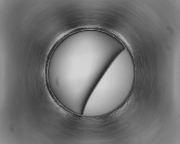 X0000112870943200908211027