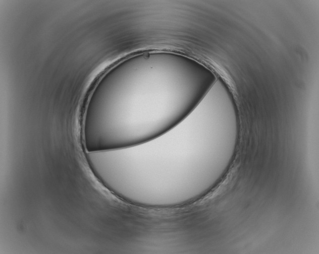 X0000112870944200908211027