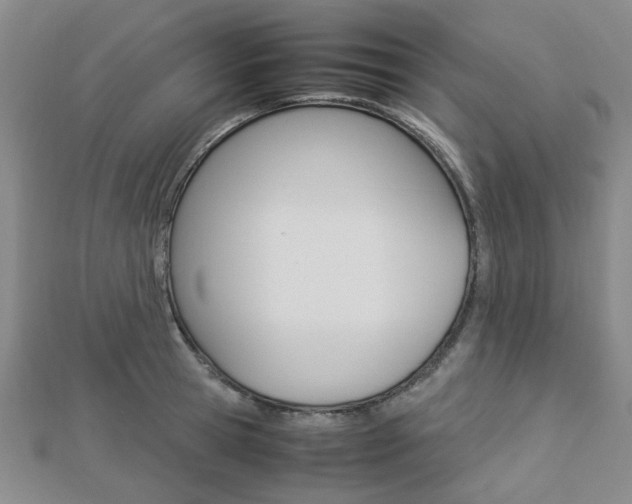 X0000112870945200908211027