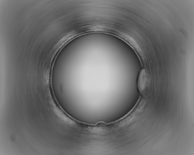 X0000112870946200908211027