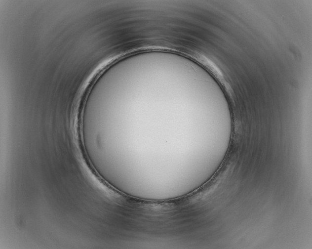 X0000112870947200908211027