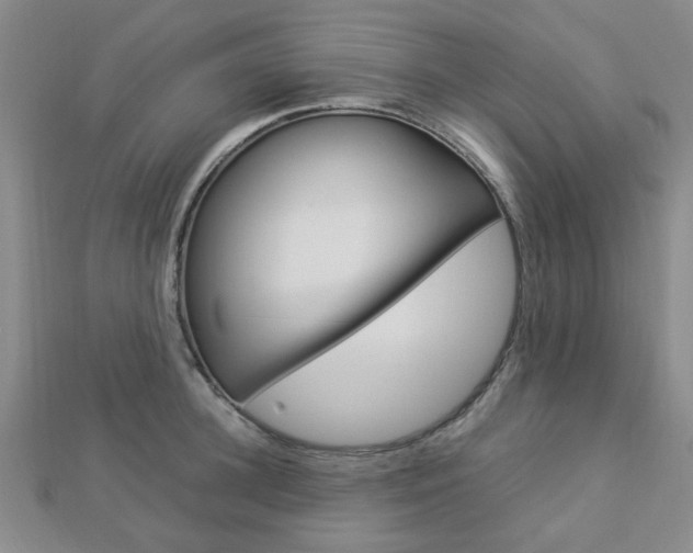 X0000112870948200908211027