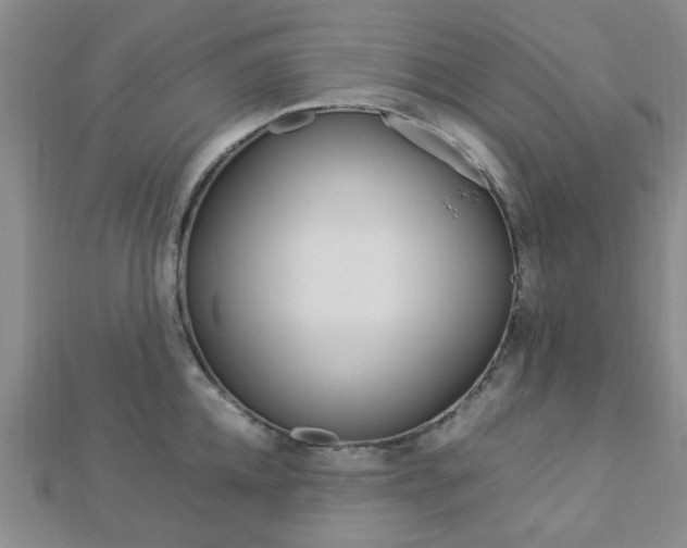 X0000112870952200908211027