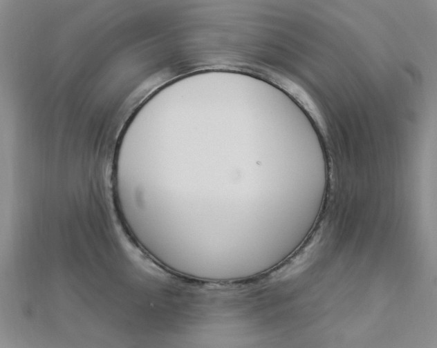 X0000112870954200908211027