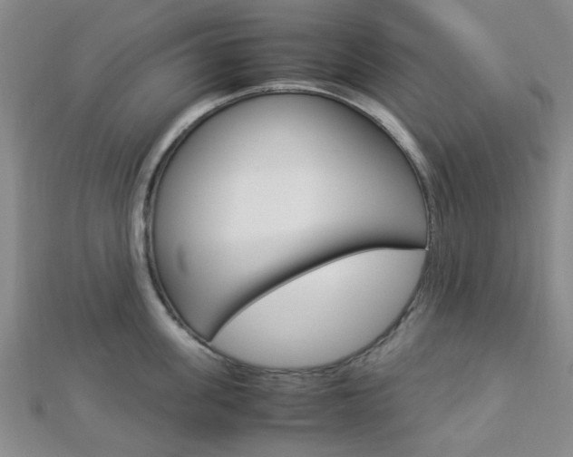 X0000112870955200908211027