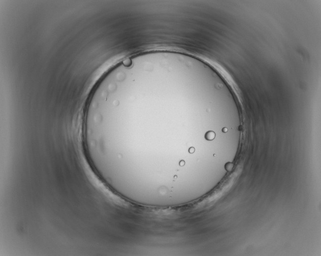 X0000112870957200908211027