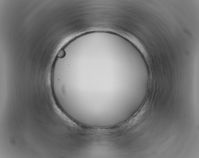 X0000112870958200908211027