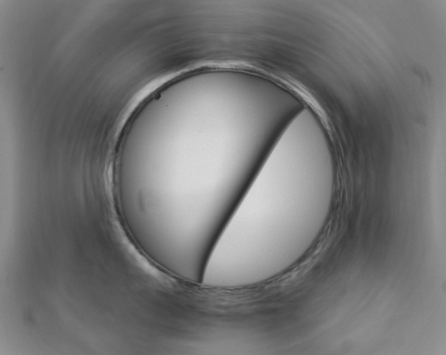 X0000112870959200908211027