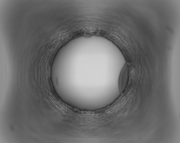 X0000112870961200908211026