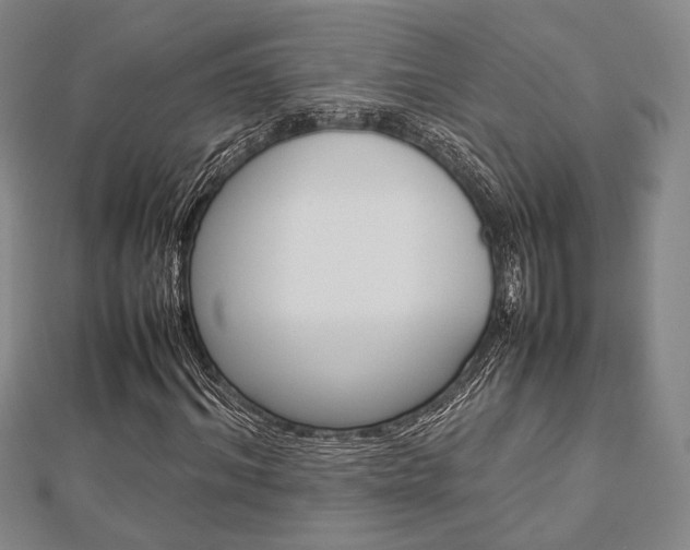 X0000112870964200908211026