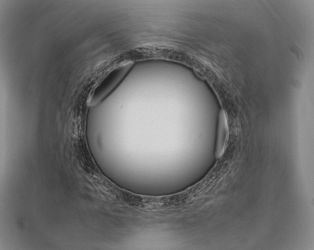 X0000112870965200908211026