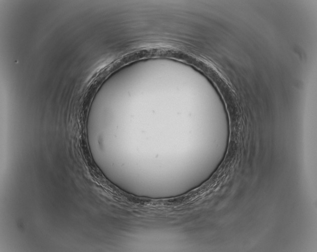 X0000112870967200908211026