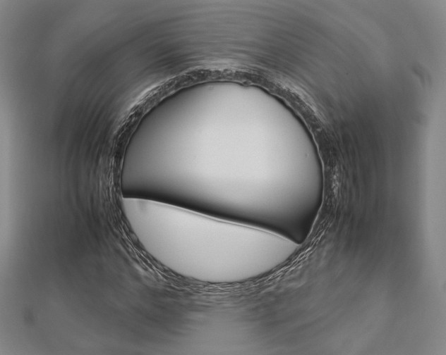 X0000112870968200908211026