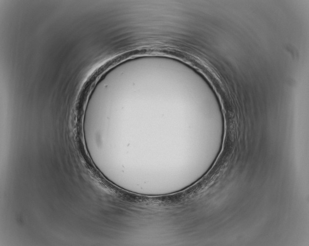 X0000112870971200908211026
