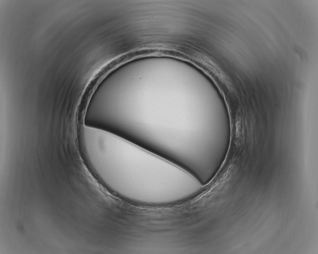 X0000112870972200908211026