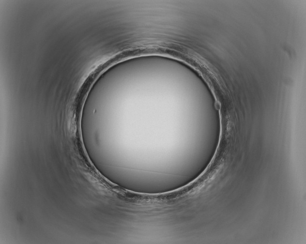 X0000112870973200908211026