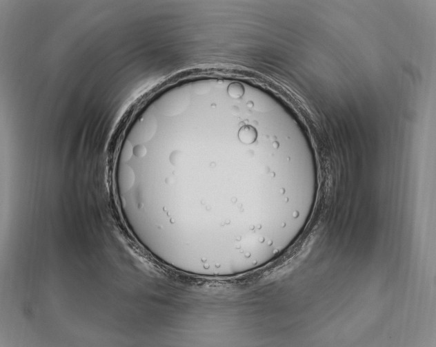 X0000112870974200908211026