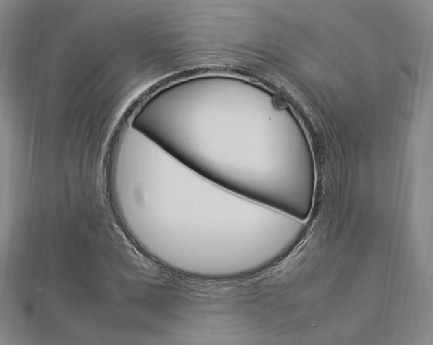 X0000112870975200908211026