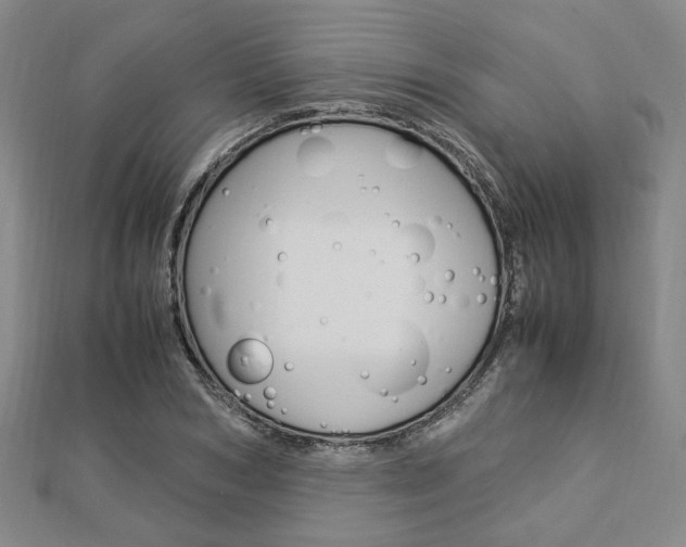 X0000112870978200908211026