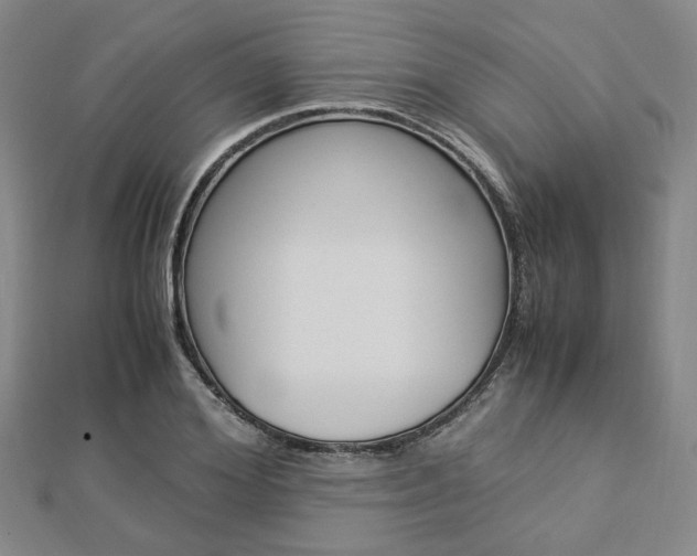 X0000112870980200908211026