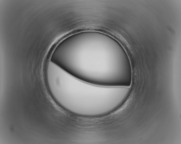 X0000112870981200908211026