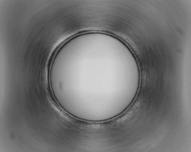 X0000112870982200908211026