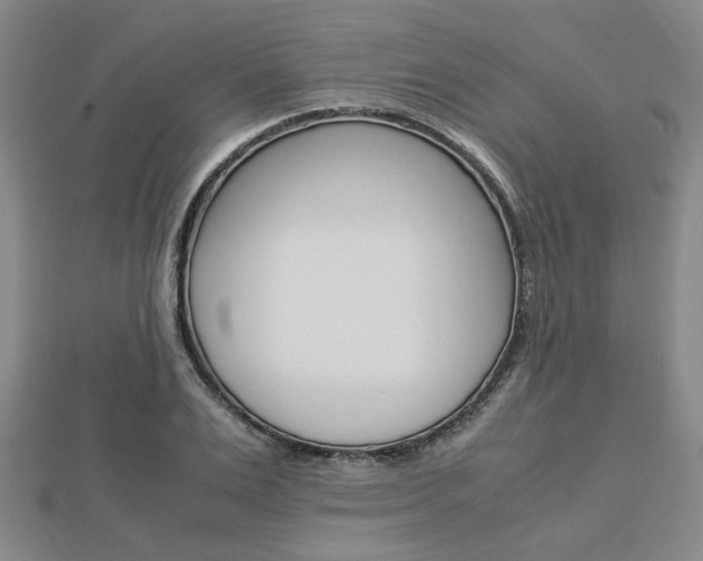 X0000112870983200908211026