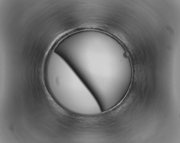 X0000112870984200908211026