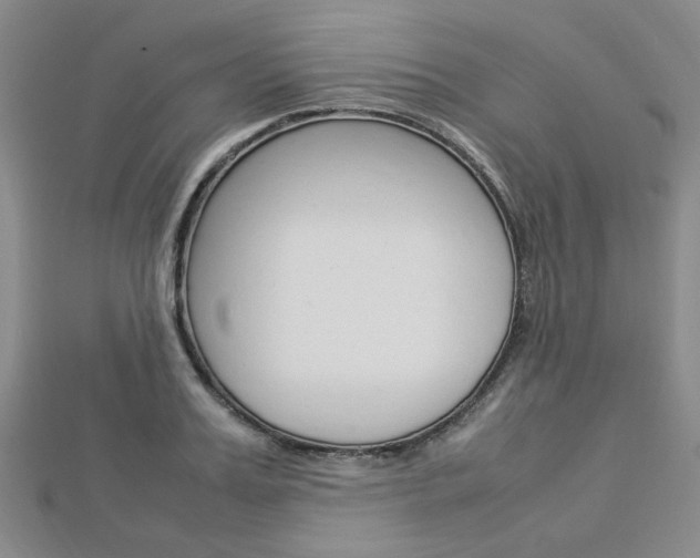 X0000112870987200908211026