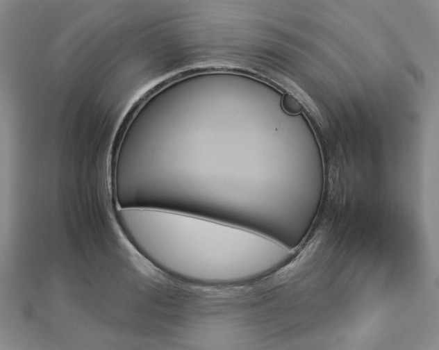 X0000112870988200908211026