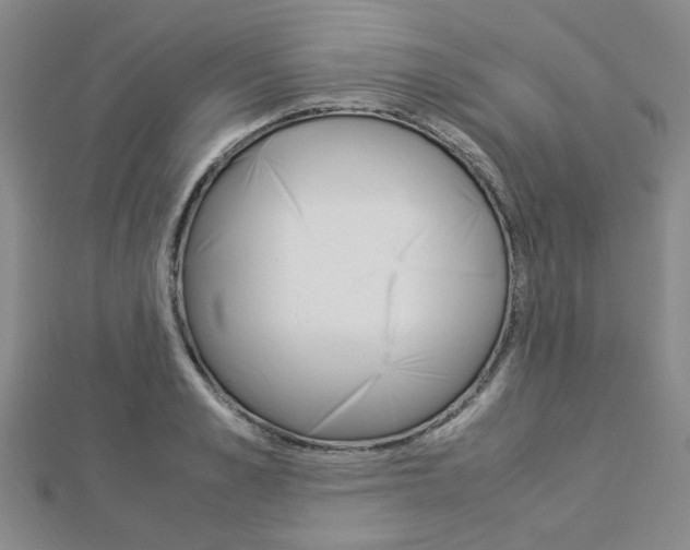X0000112870989200908211026