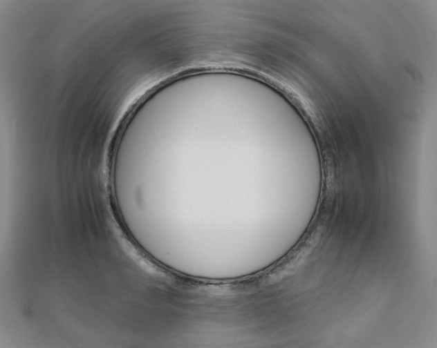 X0000112870990200908211026