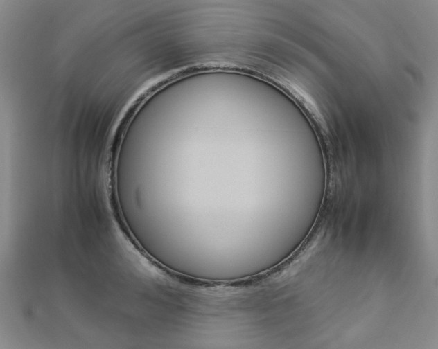 X0000112870992200908211026