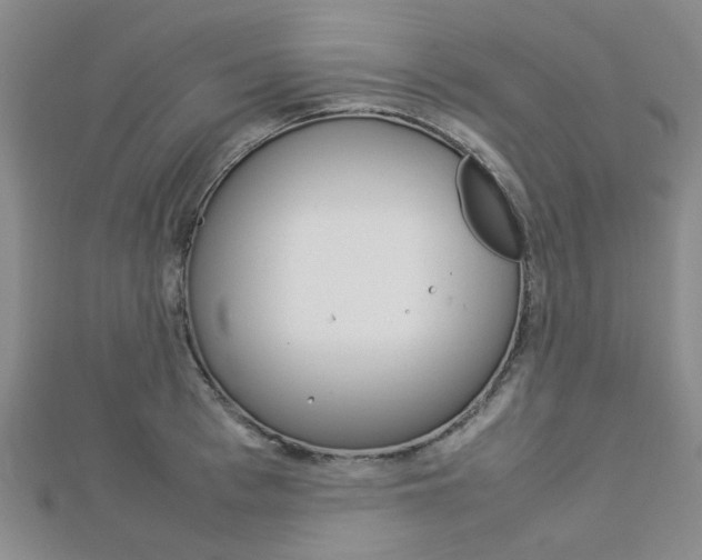 X0000112870993200908211026
