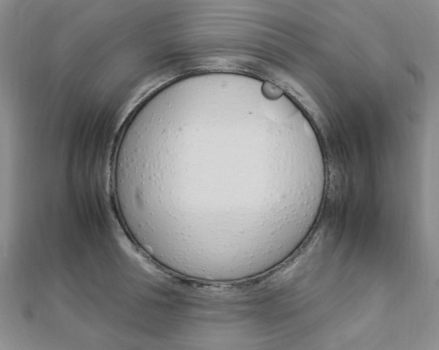 X0000112870994200908211026