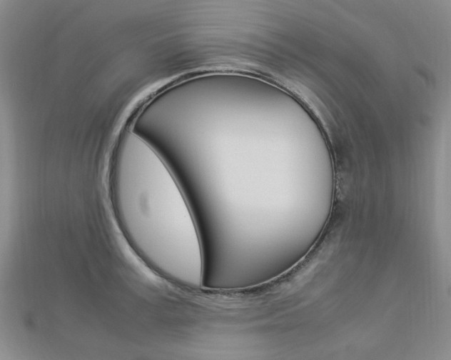 X0000112870995200908211026
