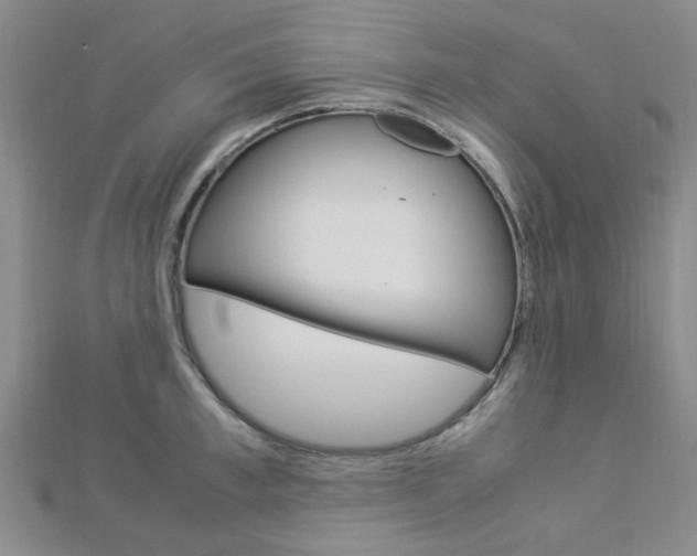 X0000112870997200908211026