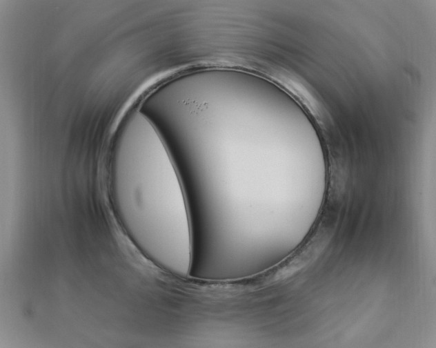 X0000112871000200908211026