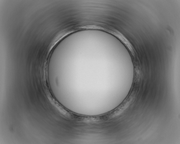X0000112871002200908211026