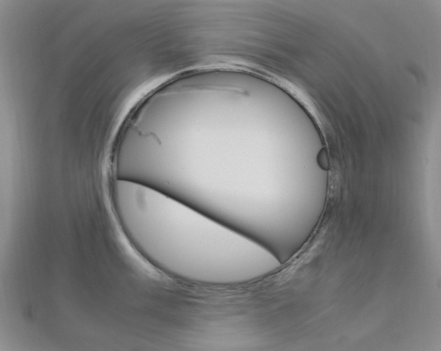 X0000112871003200908211026
