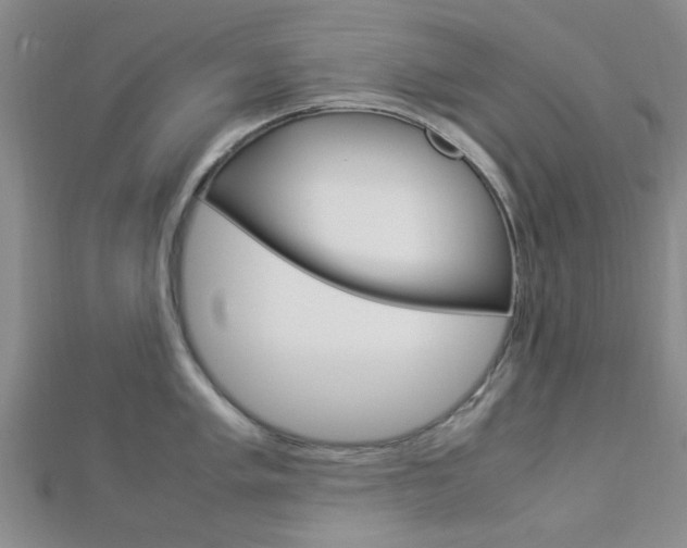 X0000112871005200908211026