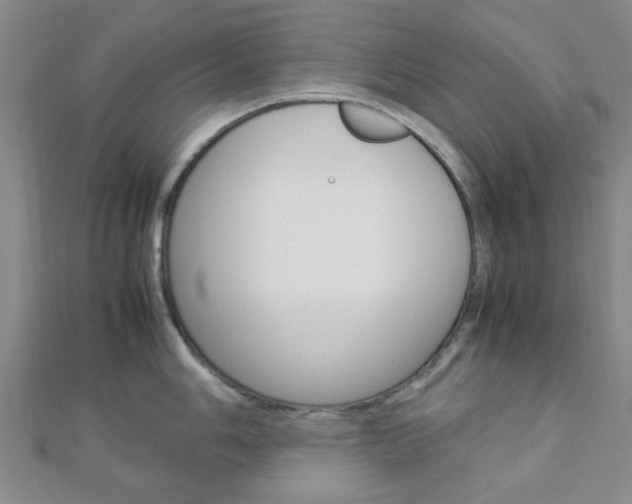 X0000112871006200908211026