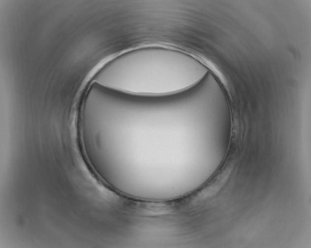 X0000112871007200908211025