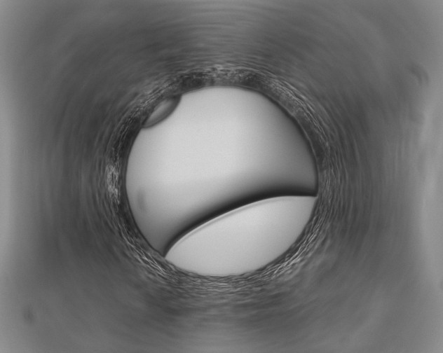 X0000112871010200908211025
