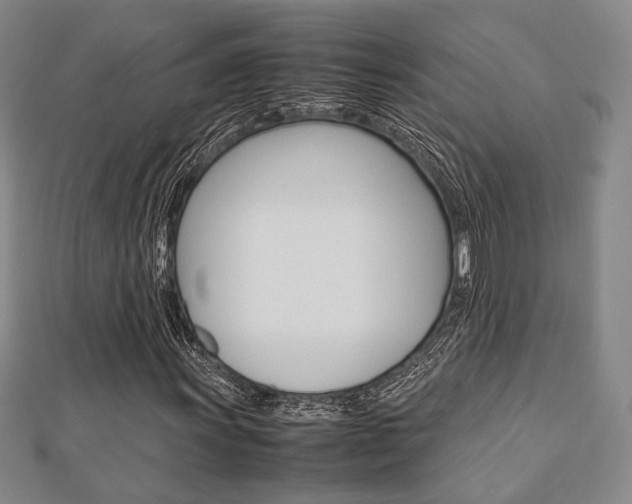X0000112871011200908211025