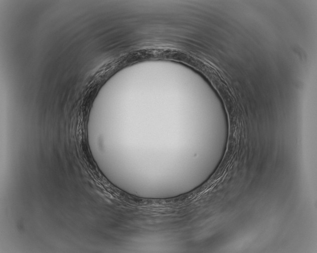 X0000112871014200908211025